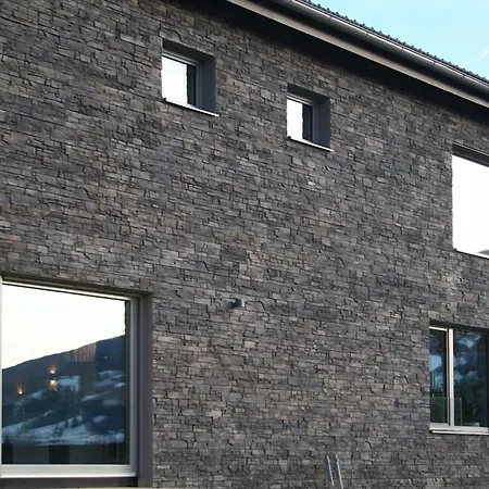 Gluecksthaler By Aa Homes - Schladmingdachstein آيش