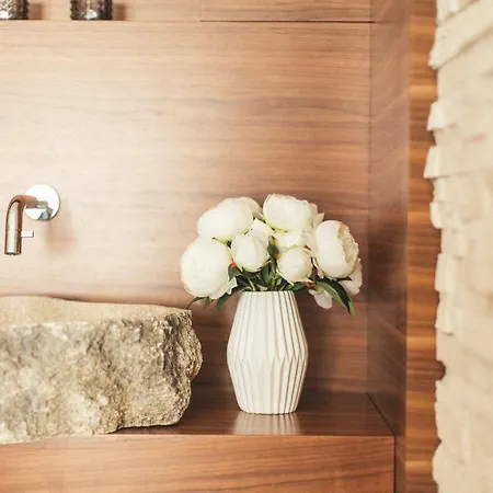 Gluecksthaler By Aa Homes - Schladmingdachstein *