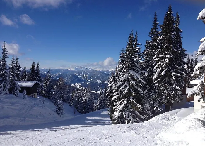 Gluecksthaler By Aa Homes - Schladmingdachstein * آيش